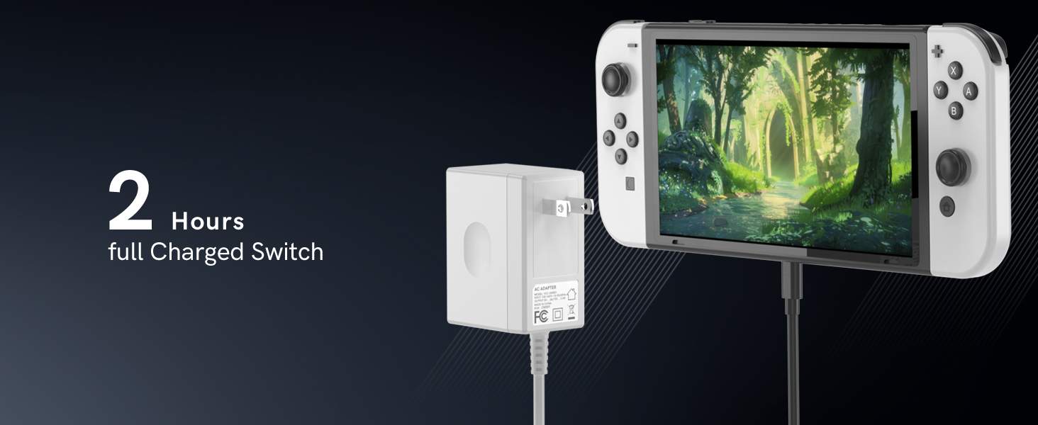 Nintendo Switch charger