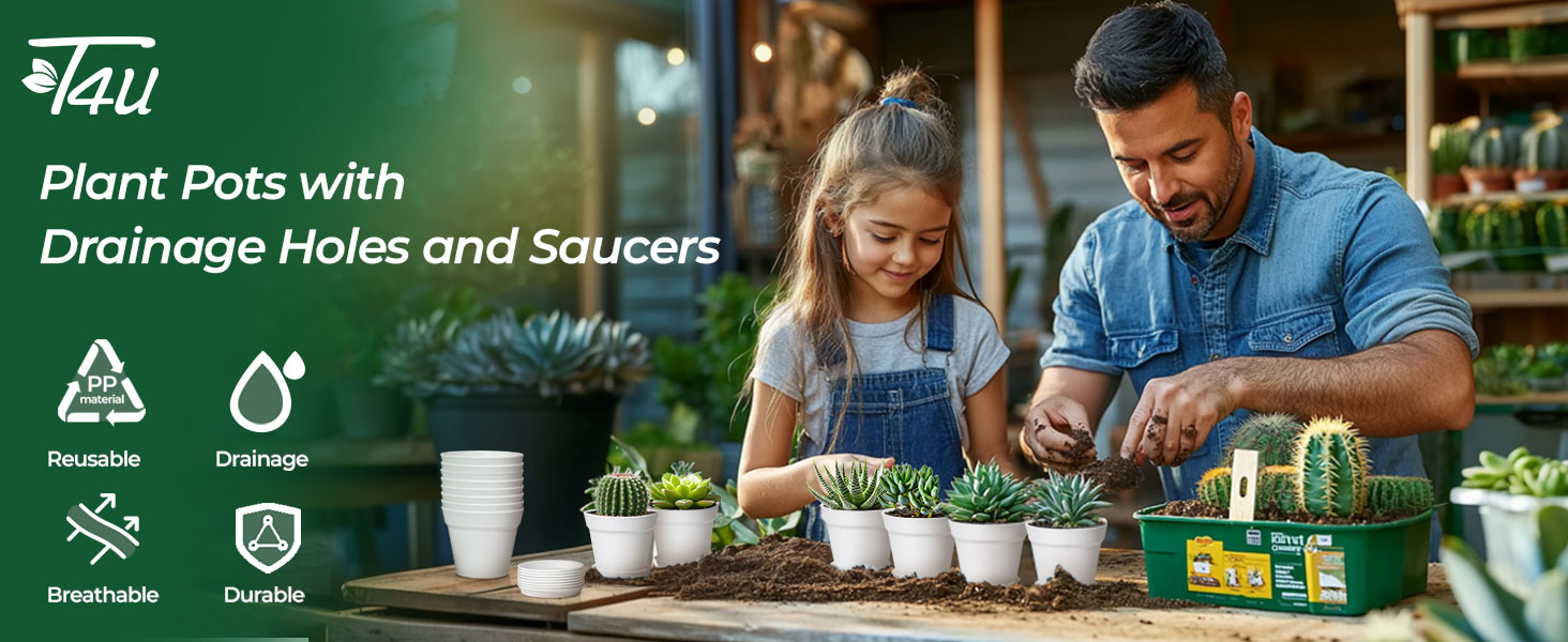 plant pots