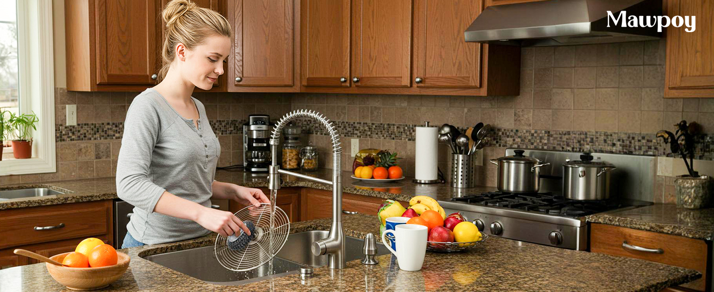 stainless steel scrubber