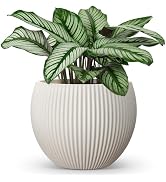homenote Flower Pots 14.5 Inch,Large Plant Pots Indoor with Drainage,Plastic Pots for Plants,Gard...