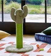Basics Cactus Cat Scratching Post with Dangling Ball, 25.6 Inches, Green