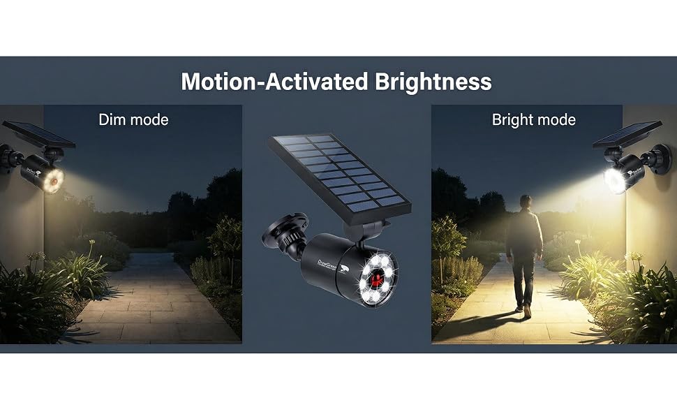 Solar Lights. No more darkness at night