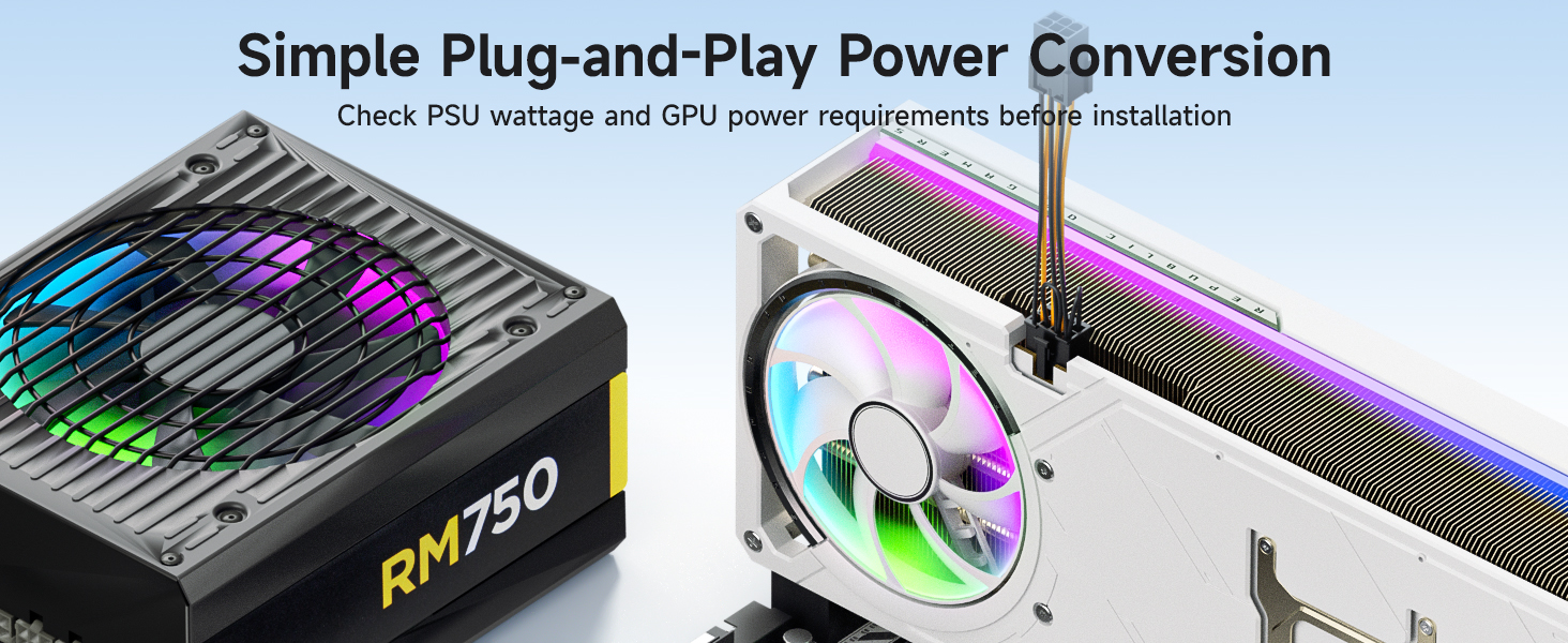6 Pin to 8 Pin PCIe Adapter Power Cable