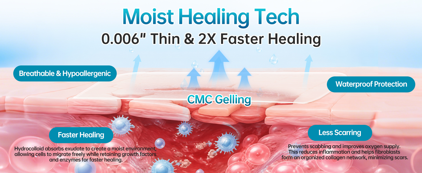Moist Healing