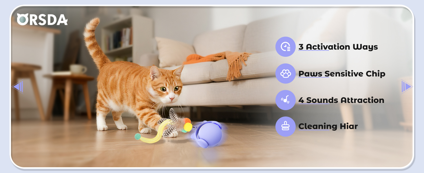 kitten toys