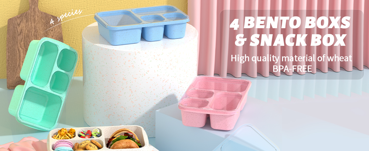 adult bento box