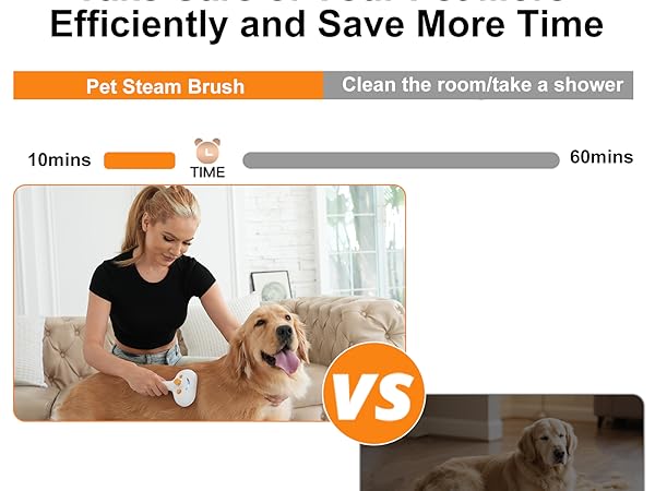 Cat Steam Brush