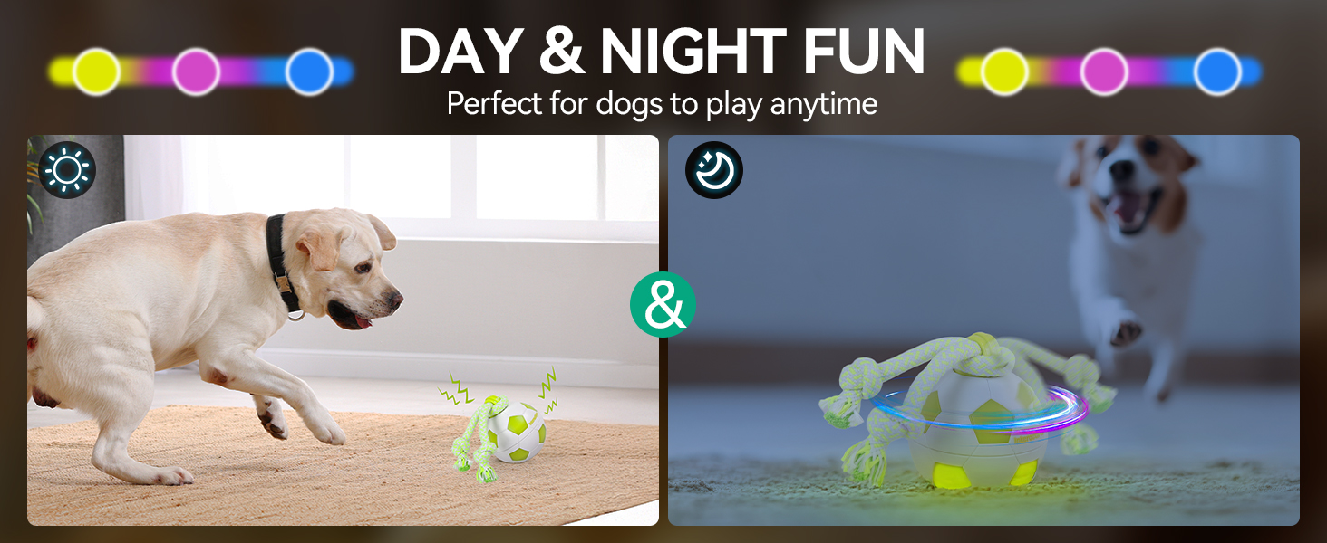 3227 dog ball