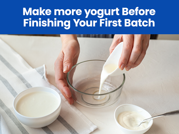 make more yogurt before finishing your first batch