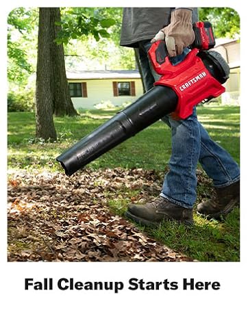 Fall Cleanup Starts Here