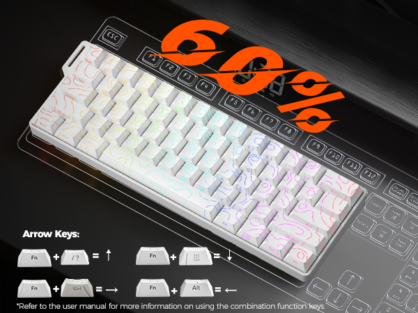 60% layout