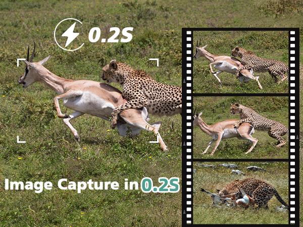 trail cameras with night vision motion activated waterproof