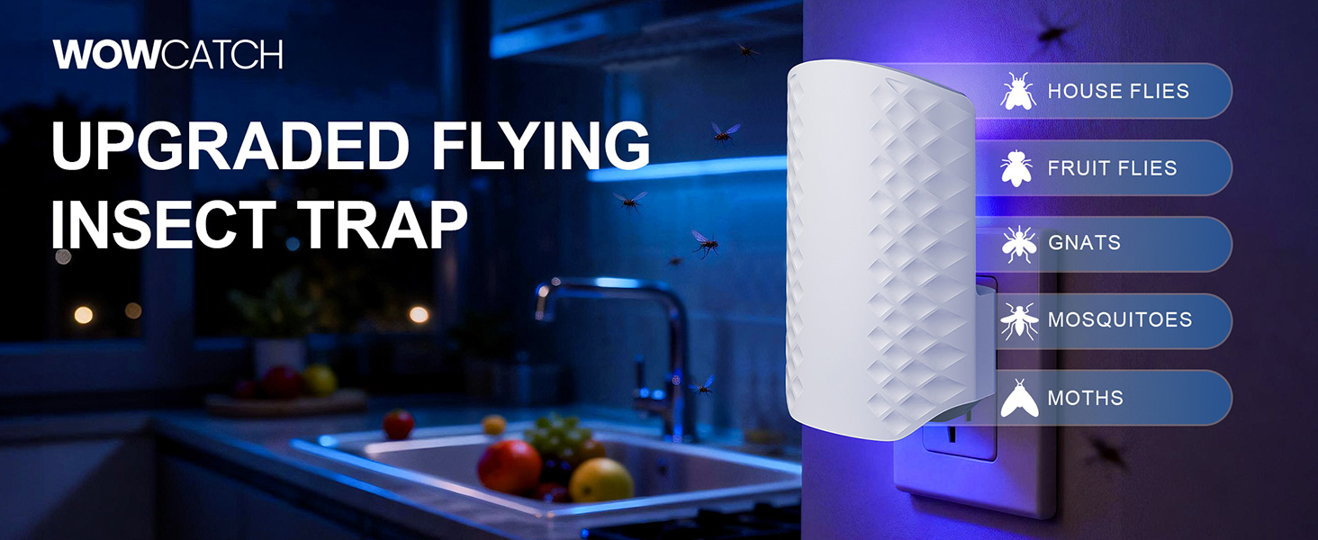 fly trap indoor