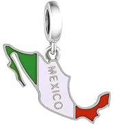 BSFJTY Flag Charms All Countries, 925 Sterling Silver Charms for Bracelets and Necklaces, Nationa...