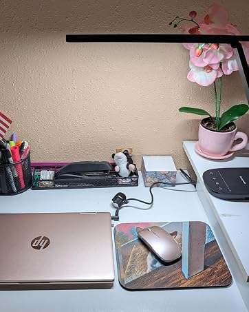 https://m.media-amazon.com/images/S/aplus-media-library-service-media/26241858-3356-4fa5-96ec-87e32183bea6.__CR215,0,1067,1335_PT0_SX362_V1___.jpg