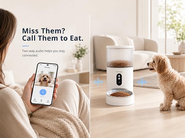 automatic cat feeder with camera
