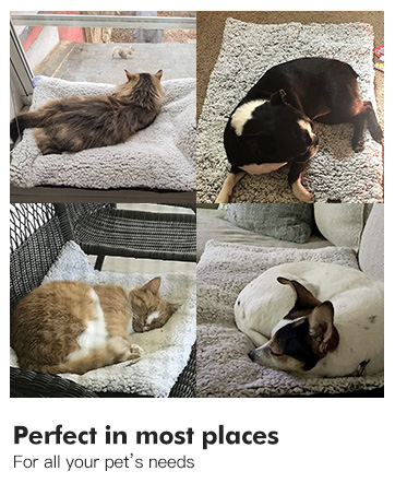 self heating cat bed