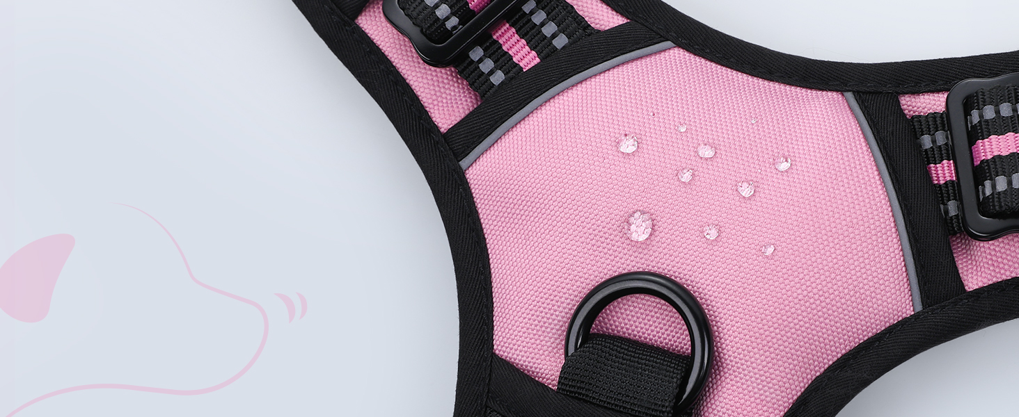 dog harness