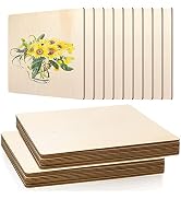 FSWCCK 10 Pack 3MM 1/8" x 12" x 12" Craft Wood, Plywood Board Basswood Sheets, Perfect for DIY Pr...