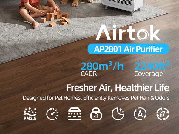 Air Purifier for Home Large Room