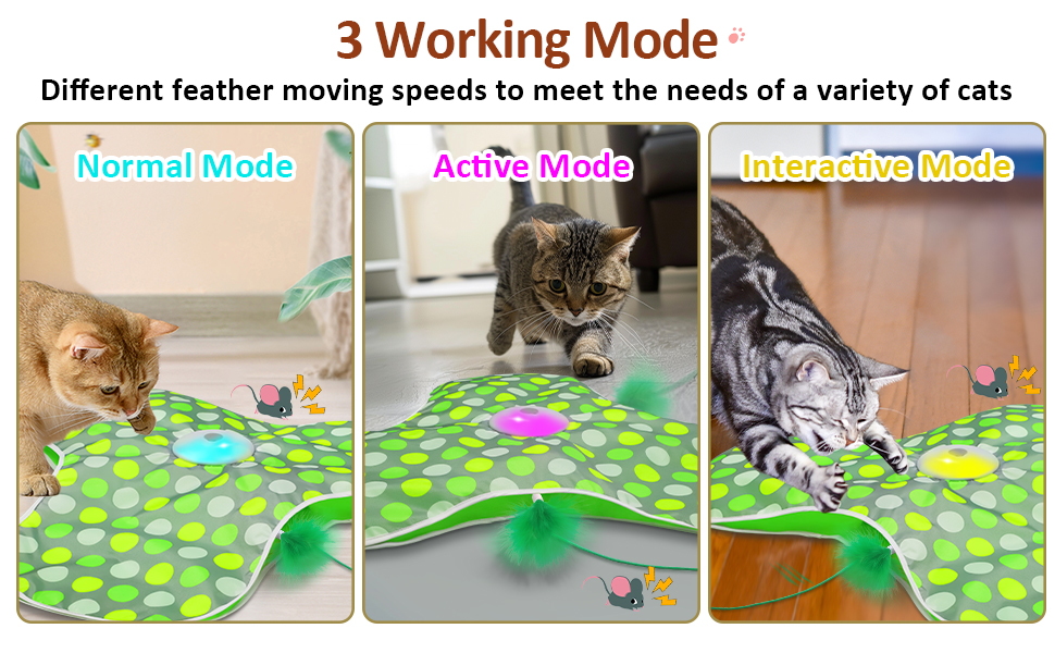 automatic cat toy