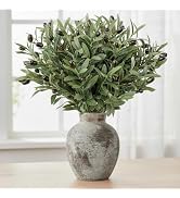 Leftover 12PCS 18Inch Faux Olive Branches for Vase,Artificia Tree Branches,Fake Plants,Greenery S...
