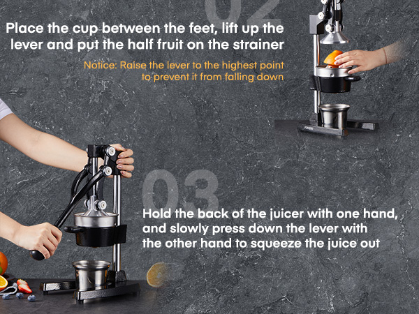 manual juicer