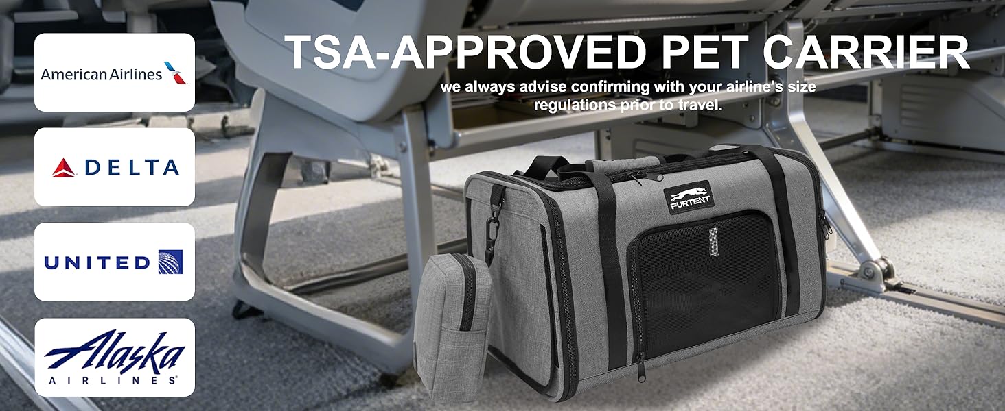 cat carrier grey