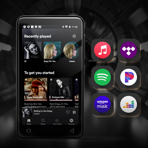 mp3 player with spotify