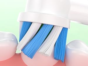 fit for oral b replacement heads