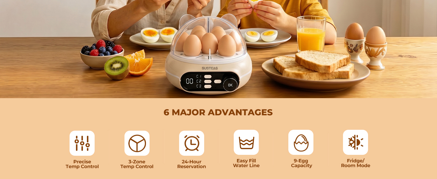 electric egg poacher