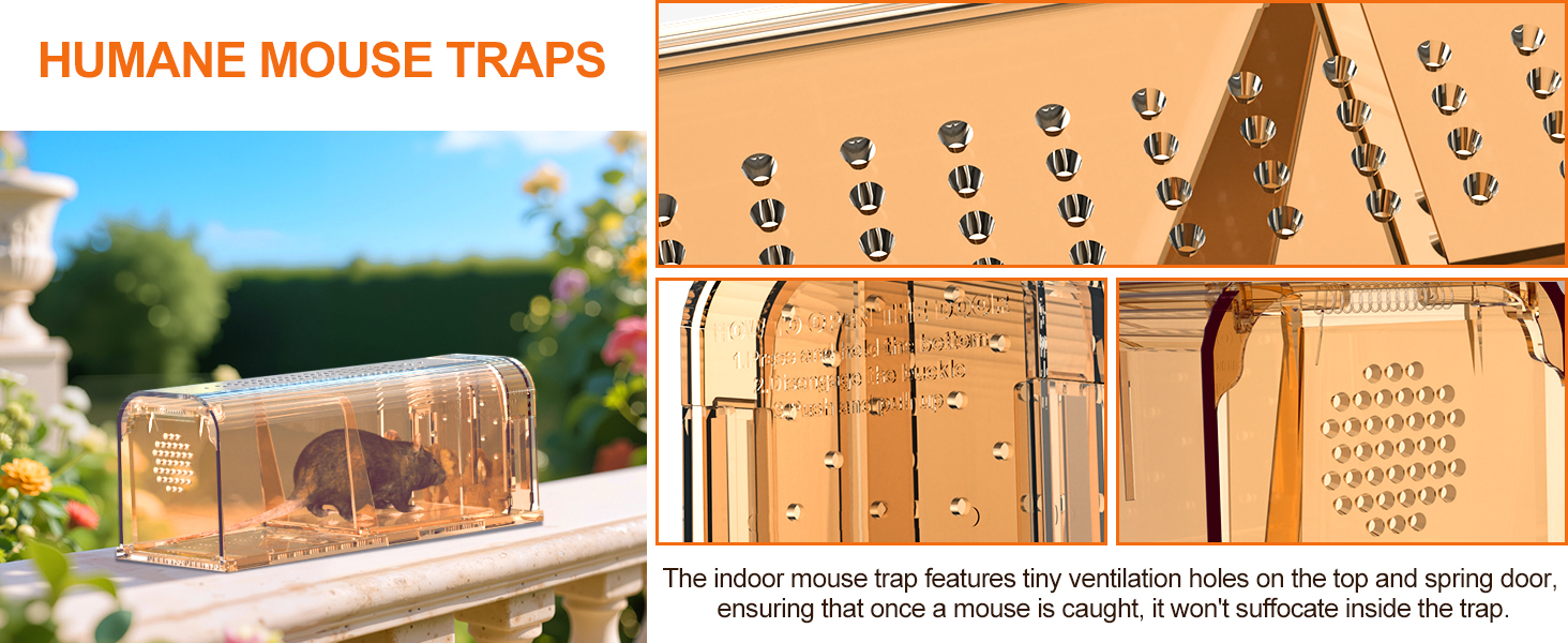 live mouse trap