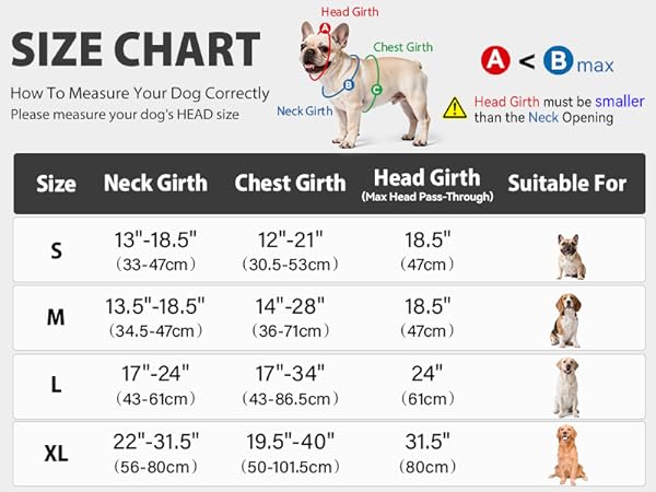 dog harness