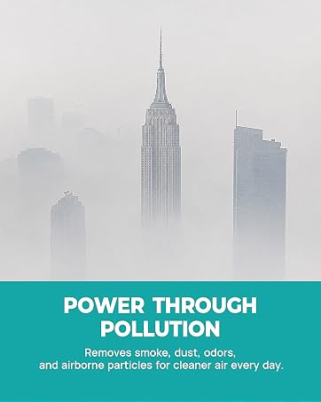 air purifier large room