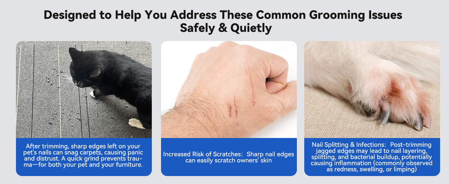 dog nail trimmers