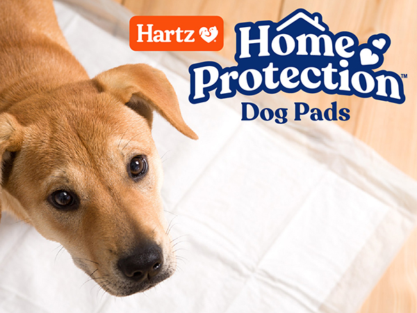 Dog Pads