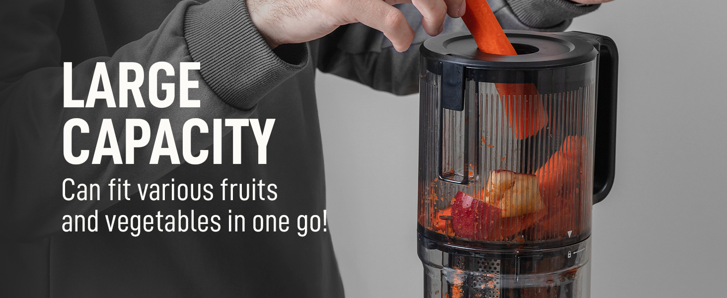 Masticating Juicer