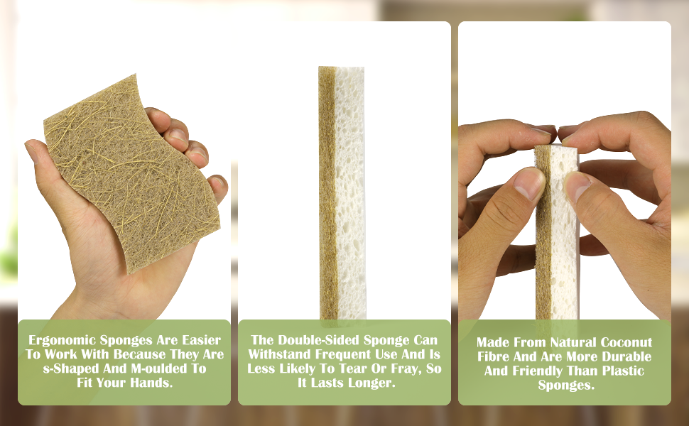 coconut sponge