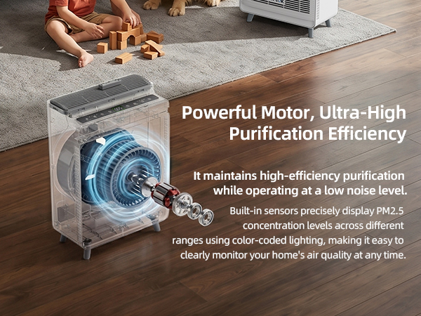Air Purifier for Home Large Room