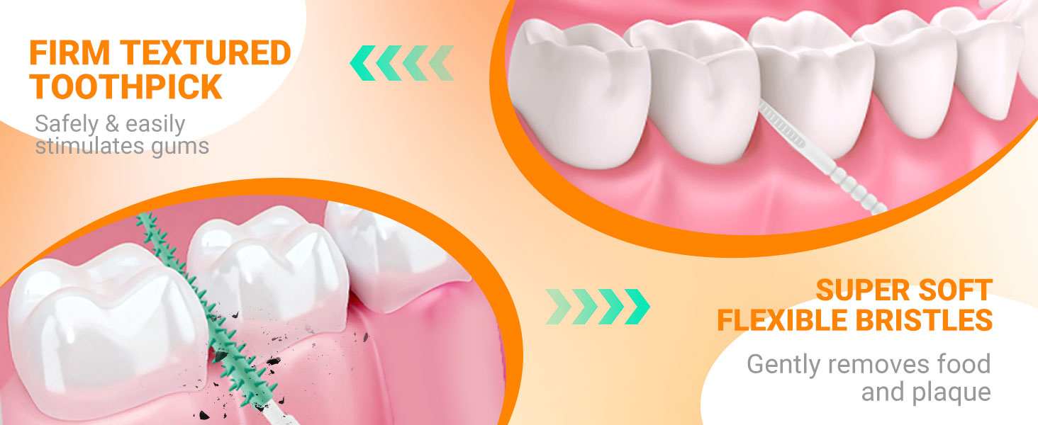 Portable Travel Dental Care Kit