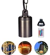Makergroup Color Changing Outdoor Pendant Light, 12V Low Voltage Hanging Light, IP67 Landscape Br...