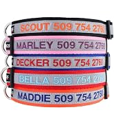 GoTags Reflective Personalized Dog Collar, Custom Embroidered with Pet Name and Phone Number in P...