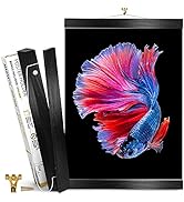 Magnetic Poster Frame Black 12 inch – Magnetic Poster Hanger for Pictures, Photos, Prints, Maps a...