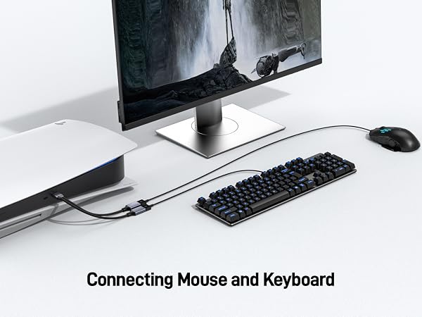 USB Splitter 1 in 2 Out
