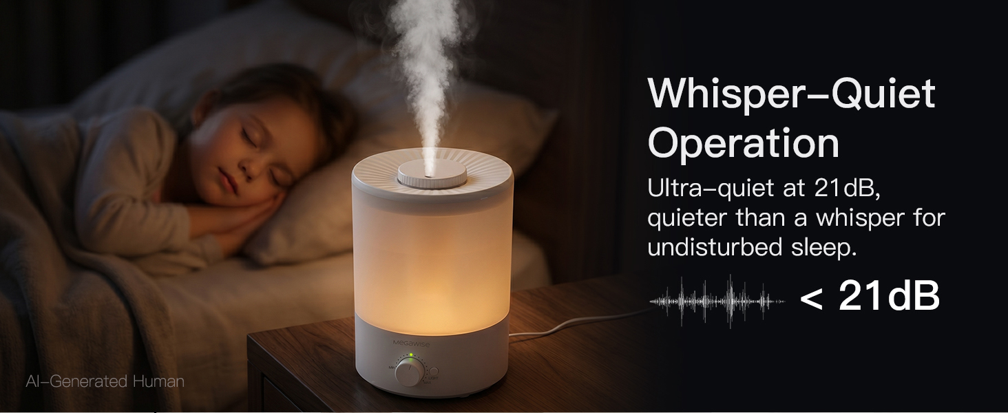 Humidifier