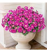 Besteek 4 Bundles Artificial Flowers for Outdoors, Faux Silk Camellia Flowers Spring Summer Decor...