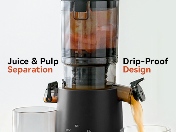 slow juicer