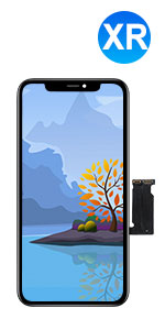 https://m.media-amazon.com/images/S/aplus-media-library-service-media/aa2cdd27-a52b-4e8a-836a-d09eb3a7ccee.__CR0,0,150,300_PT0_SX150_V1___.jpg