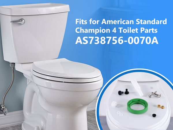 toilet tank bolts