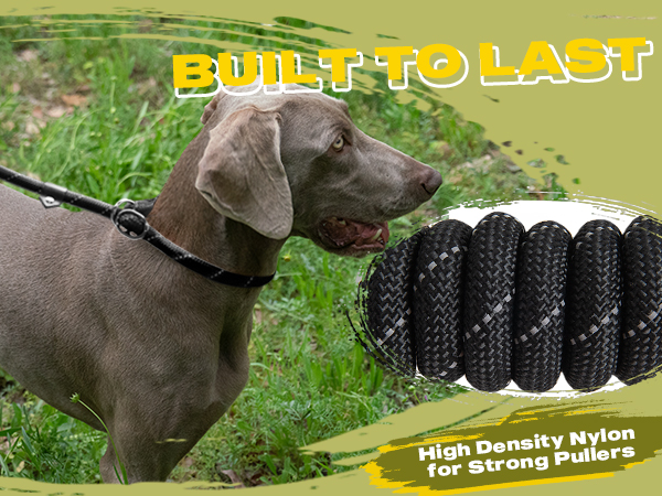 Slip Lead Dog Leash